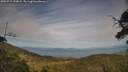 ./images/calvert/fitz-hugh-hecate/20250719/fitz-hugh-hecate20250719_192008M.jpg