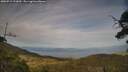 ./images/calvert/fitz-hugh-hecate/20250719/fitz-hugh-hecate20250719_193009M.jpg