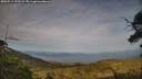 ./images/calvert/fitz-hugh-hecate/20250719/fitz-hugh-hecate20250719_193509M.jpg
