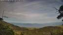 ./images/calvert/fitz-hugh-hecate/20250719/fitz-hugh-hecate20250719_194008M.jpg
