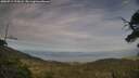 ./images/calvert/fitz-hugh-hecate/20250719/fitz-hugh-hecate20250719_195007M.jpg
