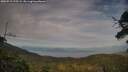 ./images/calvert/fitz-hugh-hecate/20250719/fitz-hugh-hecate20250719_195508M.jpg