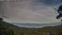 ./images/calvert/fitz-hugh-hecate/20250719/fitz-hugh-hecate20250719_200009M.jpg