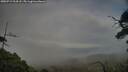 ./images/calvert/fitz-hugh-hecate/20250719/fitz-hugh-hecate20250719_204508M.jpg