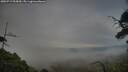 ./images/calvert/fitz-hugh-hecate/20250719/fitz-hugh-hecate20250719_205010M.jpg