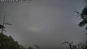 ./images/calvert/fitz-hugh-hecate/20250719/fitz-hugh-hecate20250719_210010M.jpg