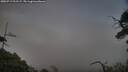 ./images/calvert/fitz-hugh-hecate/20250719/fitz-hugh-hecate20250719_211507M.jpg