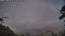 ./images/calvert/fitz-hugh-hecate/20250719/fitz-hugh-hecate20250719_212508M.jpg