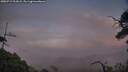 ./images/calvert/fitz-hugh-hecate/20250719/fitz-hugh-hecate20250719_213007M.jpg
