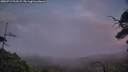 ./images/calvert/fitz-hugh-hecate/20250719/fitz-hugh-hecate20250719_213509M.jpg