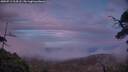 ./images/calvert/fitz-hugh-hecate/20250719/fitz-hugh-hecate20250719_214508M.jpg