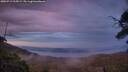 ./images/calvert/fitz-hugh-hecate/20250719/fitz-hugh-hecate20250719_215009M.jpg
