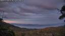 ./images/calvert/fitz-hugh-hecate/20250719/fitz-hugh-hecate20250719_220508M.jpg