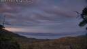 ./images/calvert/fitz-hugh-hecate/20250719/fitz-hugh-hecate20250719_221007M.jpg