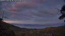 ./images/calvert/fitz-hugh-hecate/20250719/fitz-hugh-hecate20250719_221508M.jpg