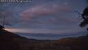 ./images/calvert/fitz-hugh-hecate/20250719/fitz-hugh-hecate20250719_222009M.jpg