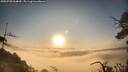 ./images/calvert/fitz-hugh-hecate/20250720/fitz-hugh-hecate20250720_064009M.jpg
