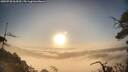 ./images/calvert/fitz-hugh-hecate/20250720/fitz-hugh-hecate20250720_064510M.jpg