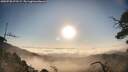 ./images/calvert/fitz-hugh-hecate/20250720/fitz-hugh-hecate20250720_072509M.jpg