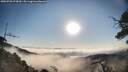 ./images/calvert/fitz-hugh-hecate/20250720/fitz-hugh-hecate20250720_074510M.jpg