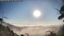 ./images/calvert/fitz-hugh-hecate/20250720/fitz-hugh-hecate20250720_075009M.jpg