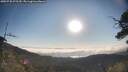 ./images/calvert/fitz-hugh-hecate/20250720/fitz-hugh-hecate20250720_075509M.jpg
