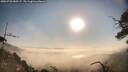 ./images/calvert/fitz-hugh-hecate/20250720/fitz-hugh-hecate20250720_080507M.jpg