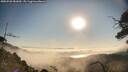 ./images/calvert/fitz-hugh-hecate/20250720/fitz-hugh-hecate20250720_081010M.jpg