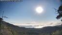 ./images/calvert/fitz-hugh-hecate/20250720/fitz-hugh-hecate20250720_082510M.jpg