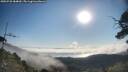 ./images/calvert/fitz-hugh-hecate/20250720/fitz-hugh-hecate20250720_084009M.jpg