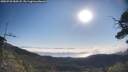 ./images/calvert/fitz-hugh-hecate/20250720/fitz-hugh-hecate20250720_084508M.jpg