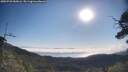 ./images/calvert/fitz-hugh-hecate/20250720/fitz-hugh-hecate20250720_085006M.jpg