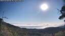 ./images/calvert/fitz-hugh-hecate/20250720/fitz-hugh-hecate20250720_085510M.jpg