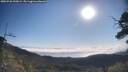 ./images/calvert/fitz-hugh-hecate/20250720/fitz-hugh-hecate20250720_090009M.jpg