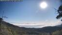 ./images/calvert/fitz-hugh-hecate/20250720/fitz-hugh-hecate20250720_091008M.jpg