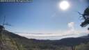 ./images/calvert/fitz-hugh-hecate/20250720/fitz-hugh-hecate20250720_092510M.jpg