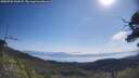 ./images/calvert/fitz-hugh-hecate/20250720/fitz-hugh-hecate20250720_100508M.jpg