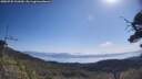 ./images/calvert/fitz-hugh-hecate/20250720/fitz-hugh-hecate20250720_102009M.jpg