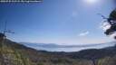 ./images/calvert/fitz-hugh-hecate/20250720/fitz-hugh-hecate20250720_102508M.jpg