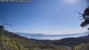 ./images/calvert/fitz-hugh-hecate/20250720/fitz-hugh-hecate20250720_103510M.jpg