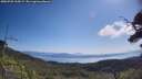 ./images/calvert/fitz-hugh-hecate/20250720/fitz-hugh-hecate20250720_105009M.jpg