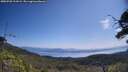 ./images/calvert/fitz-hugh-hecate/20250720/fitz-hugh-hecate20250720_111009M.jpg