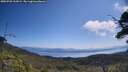 ./images/calvert/fitz-hugh-hecate/20250720/fitz-hugh-hecate20250720_112009M.jpg