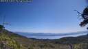 ./images/calvert/fitz-hugh-hecate/20250720/fitz-hugh-hecate20250720_114510M.jpg