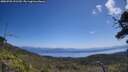 ./images/calvert/fitz-hugh-hecate/20250720/fitz-hugh-hecate20250720_121510M.jpg