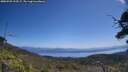 ./images/calvert/fitz-hugh-hecate/20250720/fitz-hugh-hecate20250720_122007M.jpg