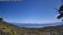 ./images/calvert/fitz-hugh-hecate/20250720/fitz-hugh-hecate20250720_130506M.jpg