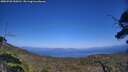./images/calvert/fitz-hugh-hecate/20250720/fitz-hugh-hecate20250720_154511M.jpg