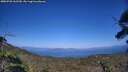 ./images/calvert/fitz-hugh-hecate/20250720/fitz-hugh-hecate20250720_162510M.jpg