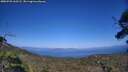 ./images/calvert/fitz-hugh-hecate/20250720/fitz-hugh-hecate20250720_163505M.jpg